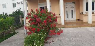 Гостевой дом Rexha Apartments Улцинь-3