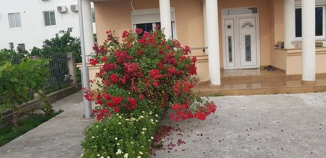 Гостевой дом Rexha Apartments Улцинь-6